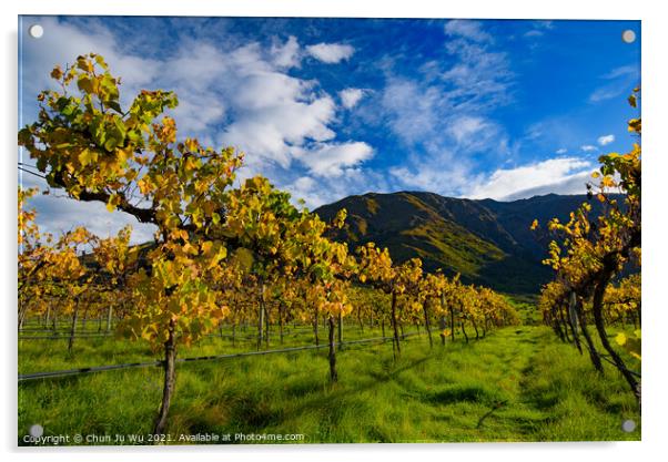 Grape vineyard in autumn in South Island, New Zealand Acrylic by Chun Ju Wu