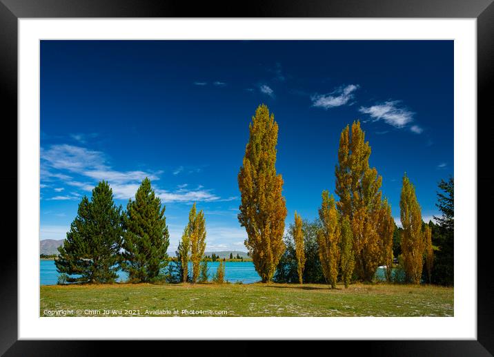 Landscape of autumn trees and lake in South Island, New Zealand Framed Mounted Print by Chun Ju Wu