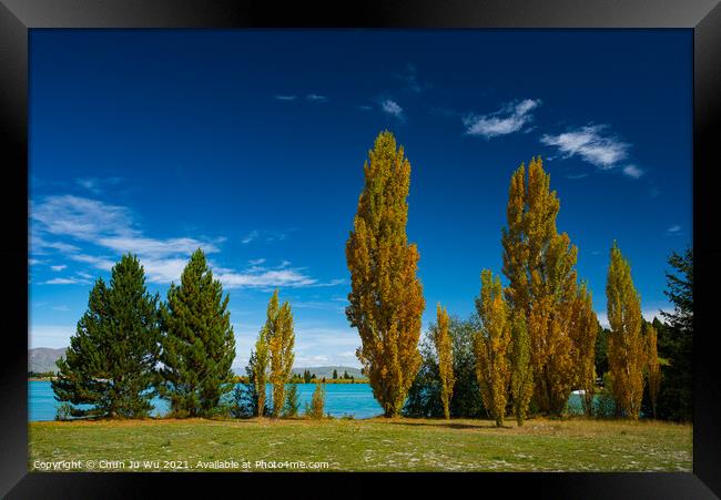Landscape of autumn trees and lake in South Island, New Zealand Framed Print by Chun Ju Wu