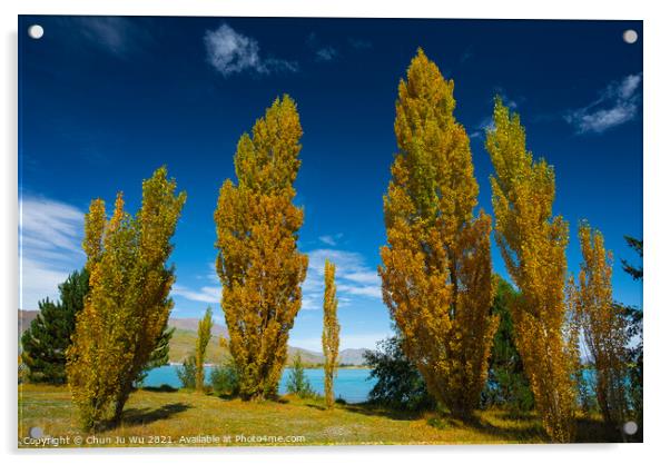 Landscape of autumn trees and lake in South Island, New Zealand Acrylic by Chun Ju Wu