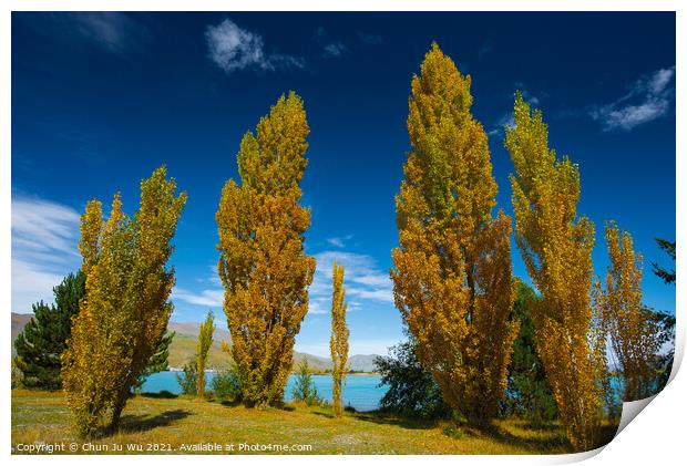 Landscape of autumn trees and lake in South Island, New Zealand Print by Chun Ju Wu
