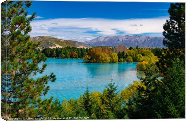 Landscape of autumn trees and lake in South Island, New Zealand Canvas Print by Chun Ju Wu