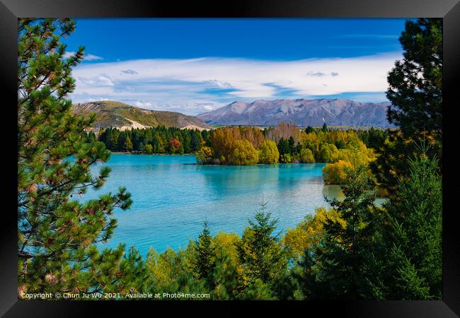 Landscape of autumn trees and lake in South Island, New Zealand Framed Print by Chun Ju Wu