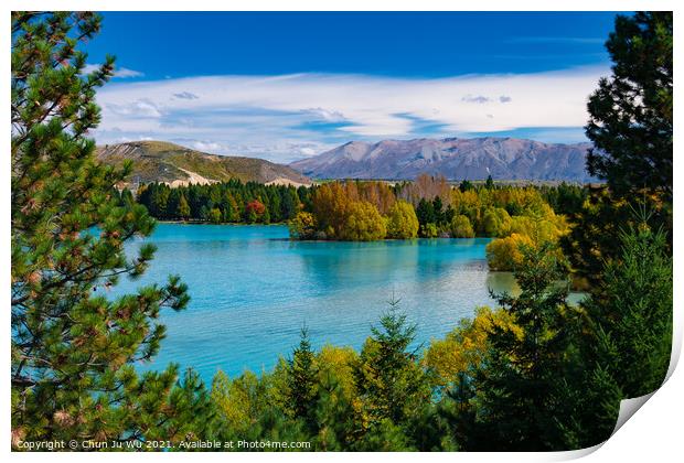 Landscape of autumn trees and lake in South Island, New Zealand Print by Chun Ju Wu
