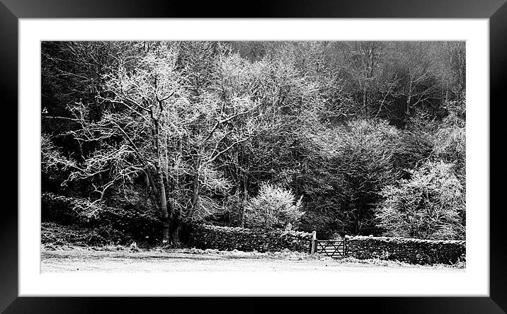 Frozen Framed Mounted Print by Mark Pritchard