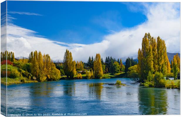 Landscape of autumn trees and river in South Island, New Zealand Canvas Print by Chun Ju Wu
