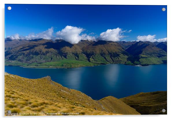 Lake Wanak in South Island, New Zealand Acrylic by Chun Ju Wu