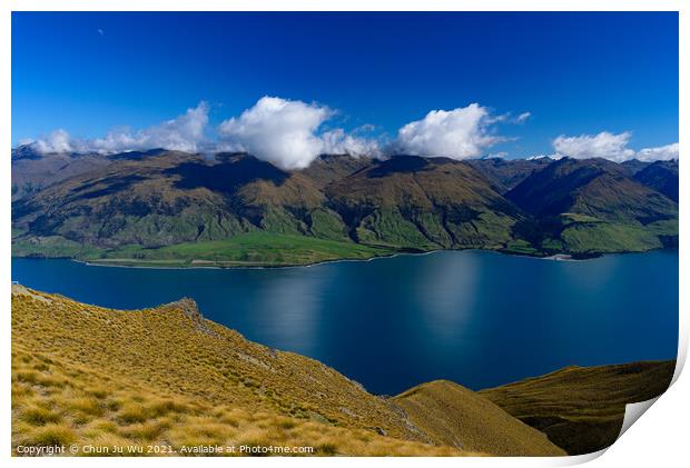 Lake Wanak in South Island, New Zealand Print by Chun Ju Wu