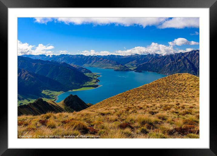 Lake Wanak in South Island, New Zealand Framed Mounted Print by Chun Ju Wu