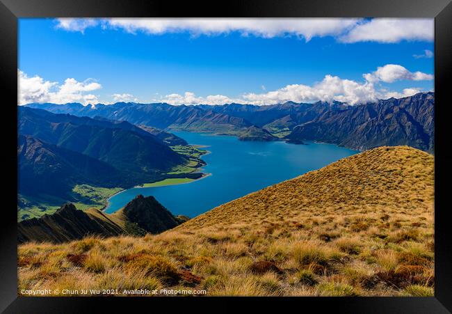 Lake Wanak in South Island, New Zealand Framed Print by Chun Ju Wu