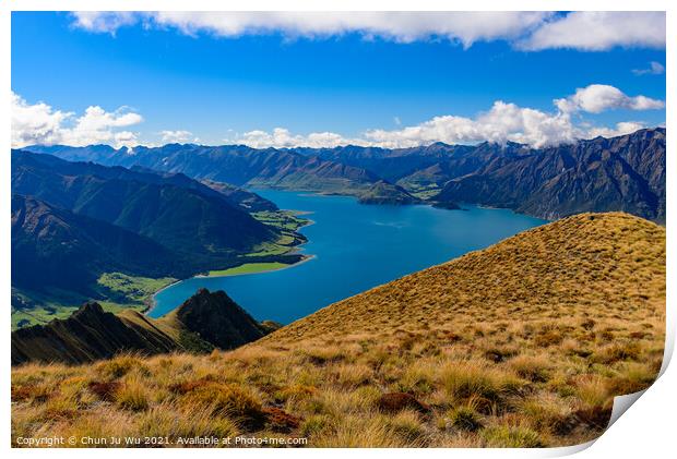 Lake Wanak in South Island, New Zealand Print by Chun Ju Wu
