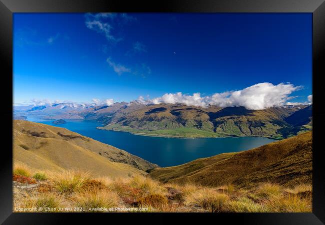 Lake Wanak in South Island, New Zealand Framed Print by Chun Ju Wu