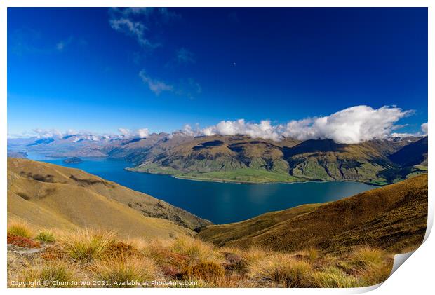 Lake Wanak in South Island, New Zealand Print by Chun Ju Wu