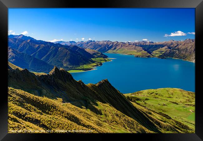 Lake Wanak in South Island, New Zealand Framed Print by Chun Ju Wu