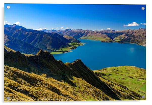 Lake Wanak in South Island, New Zealand Acrylic by Chun Ju Wu