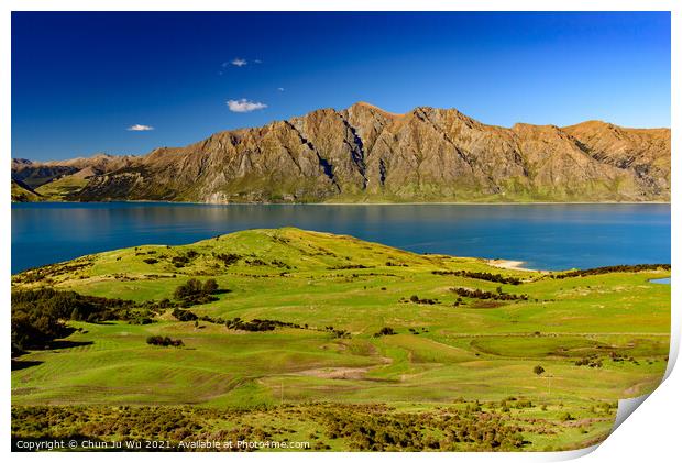 Lake Wanak in South Island, New Zealand Print by Chun Ju Wu