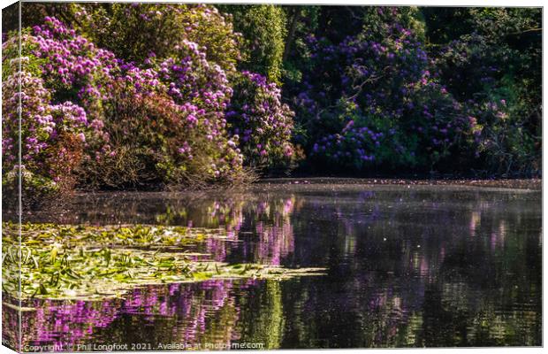 Summer colours in Royden Park Wirral England Canvas Print by Phil Longfoot