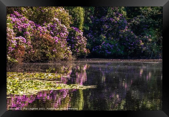 Summer colours in Royden Park Wirral England Framed Print by Phil Longfoot