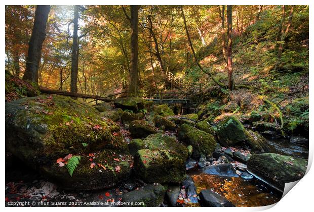 Padley Gorge 10.0 Print by Yhun Suarez