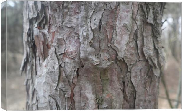 Tree bark close up Canvas Print by Sami Mi Ko