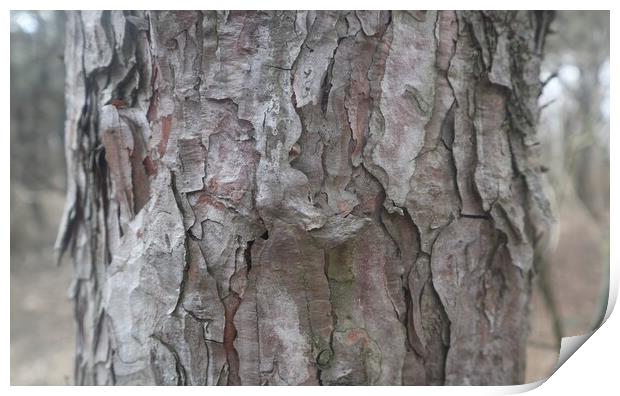 Tree bark close up Print by Sami Mi Ko