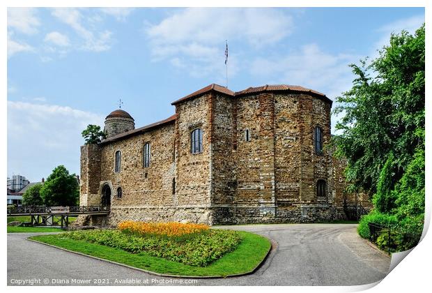 Colchester Castle Essex Print by Diana Mower