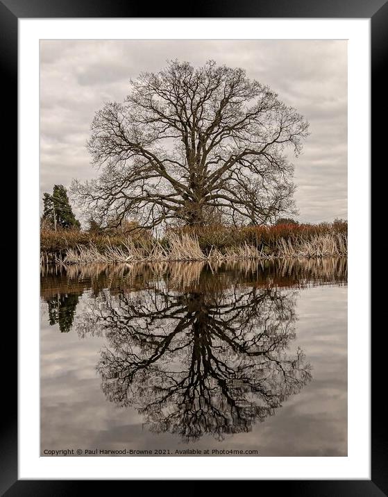 Reflections Framed Mounted Print by Paul Harwood-Browne