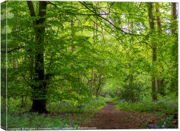 Path through Woodland Glade in Spring Canvas Print by Elizabeth Debenham