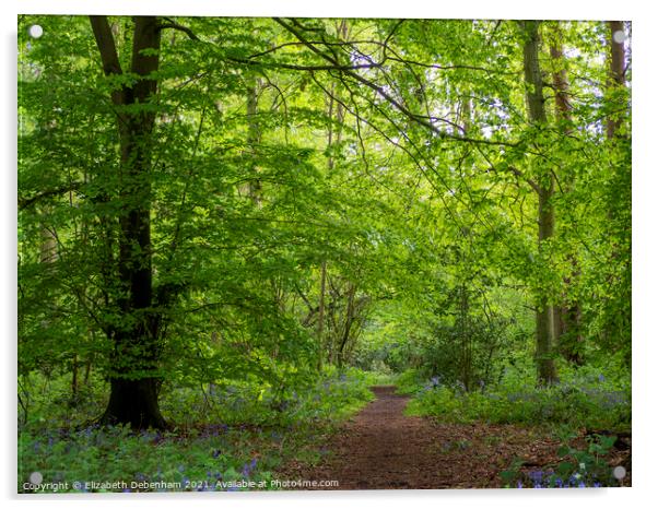 Path through Woodland Glade in Spring Acrylic by Elizabeth Debenham