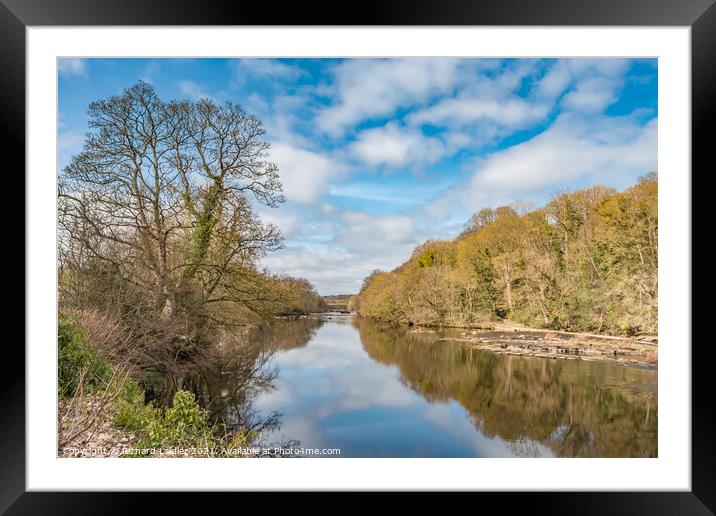 Spring Reflections on the River Tees at Wycliffe Framed Mounted Print by Richard Laidler