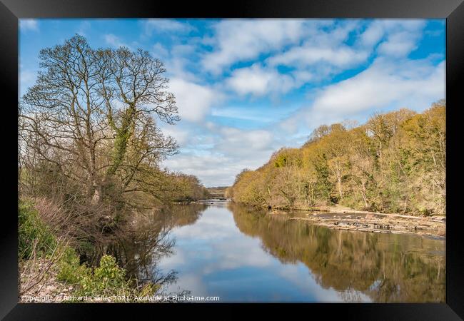 Spring Reflections on the River Tees at Wycliffe Framed Print by Richard Laidler