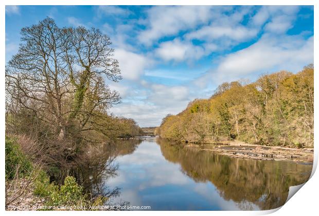 Spring Reflections on the River Tees at Wycliffe Print by Richard Laidler
