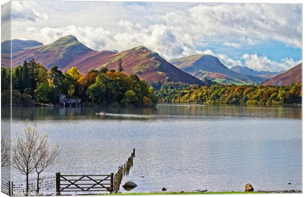 Catbells Fell and Skelgill across Derwentwater Canvas Print by Martyn Arnold