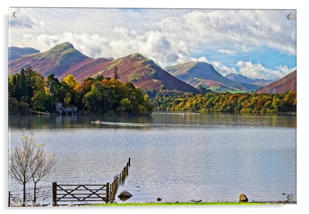 Catbells Fell and Skelgill across Derwentwater Acrylic by Martyn Arnold