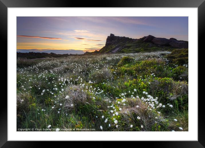 The Roaches 17.0 Framed Mounted Print by Yhun Suarez