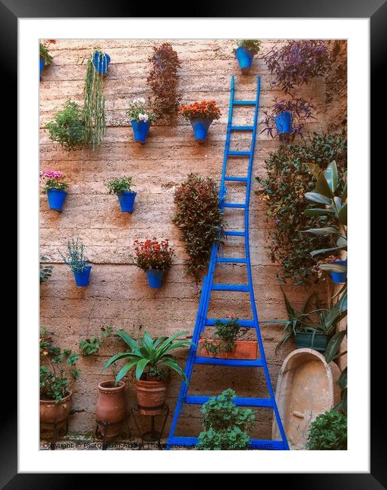 The artistically Decorated garden patio wall Framed Mounted Print by PhotOvation-Akshay Thaker