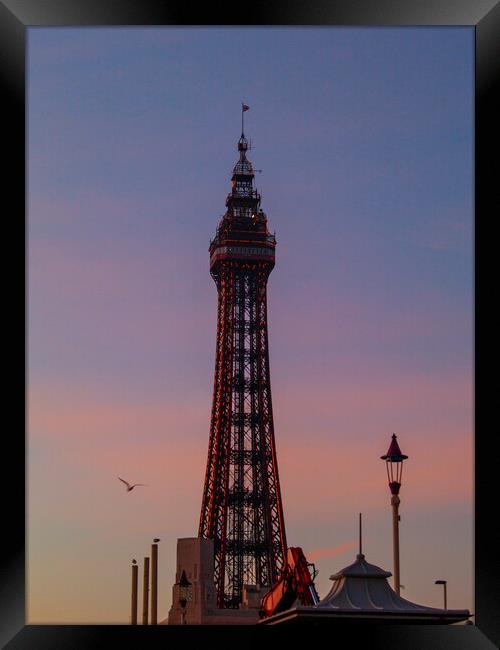 Blackpool Tower - Sunset Framed Print by Glen Allen
