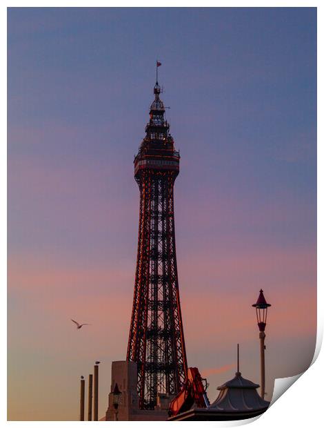 Blackpool Tower - Sunset Print by Glen Allen