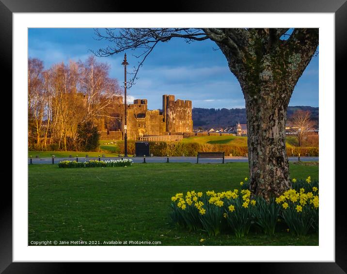 Sun on the Castle Framed Mounted Print by Jane Metters