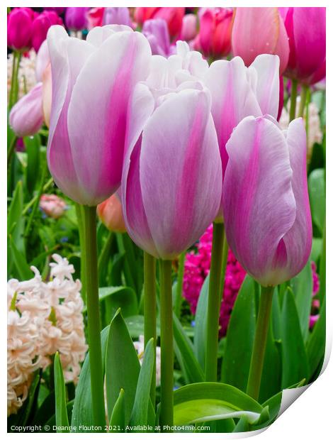 Heavenly Pink Tulip Garden Print by Deanne Flouton