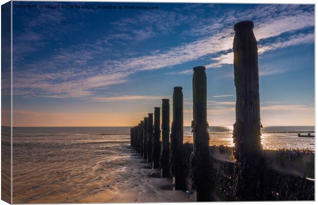 Seaside groynes Canvas Print by Stuart C Clarke