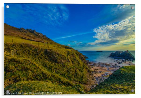 Soar Mill Cove, Devon. Acrylic by Ian Stone