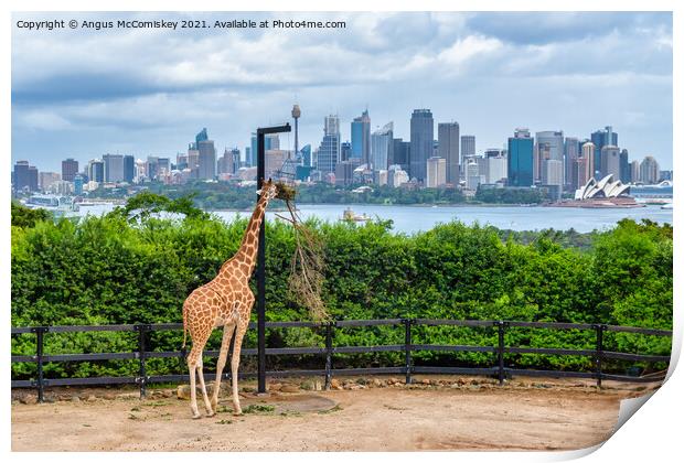 Sydney skyline with giraffe Print by Angus McComiskey