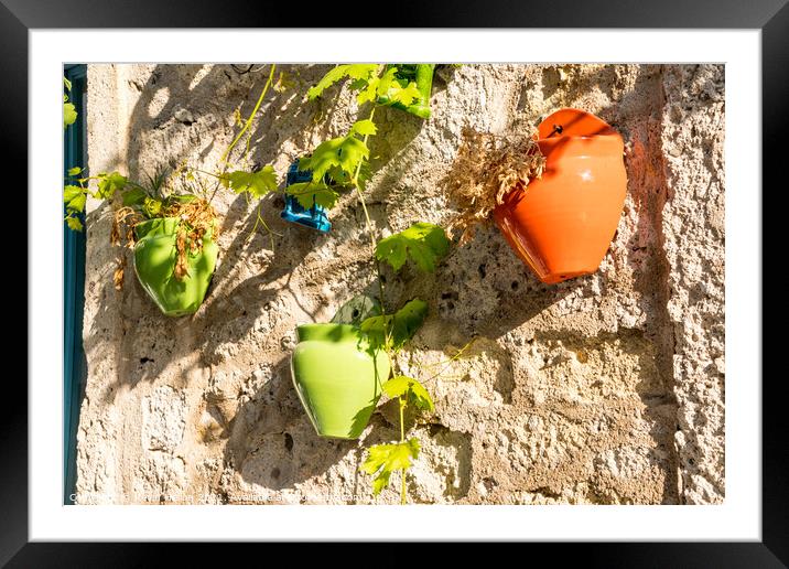 Colourful plant pots Framed Mounted Print by Kevin Hellon