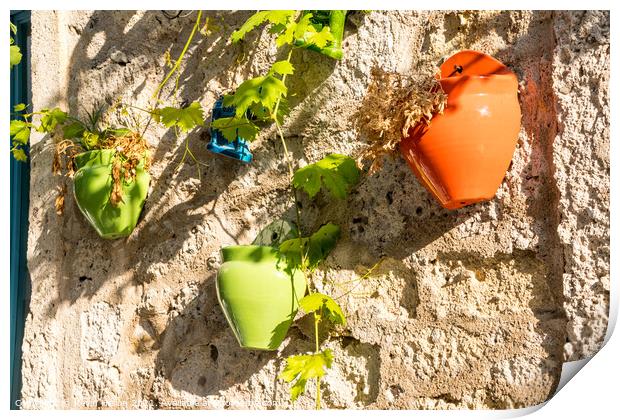 Colourful plant pots Print by Kevin Hellon
