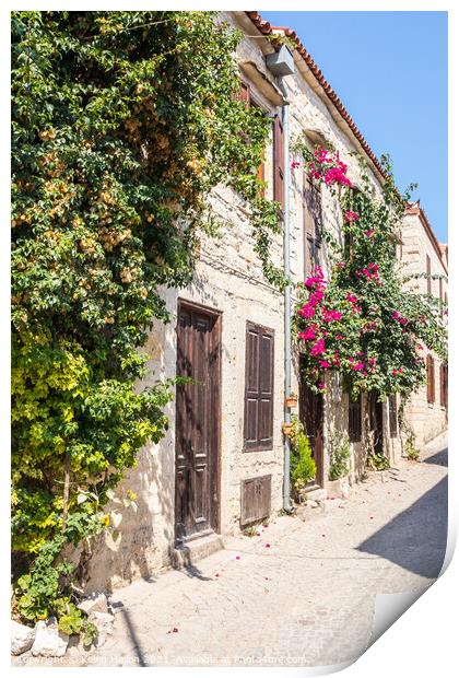 Stone houses covered with bougainvillaea, Print by Kevin Hellon