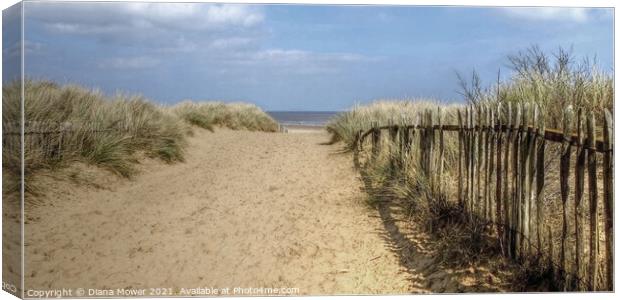 The path to the beach  at Mablethorpe Canvas Print by Diana Mower