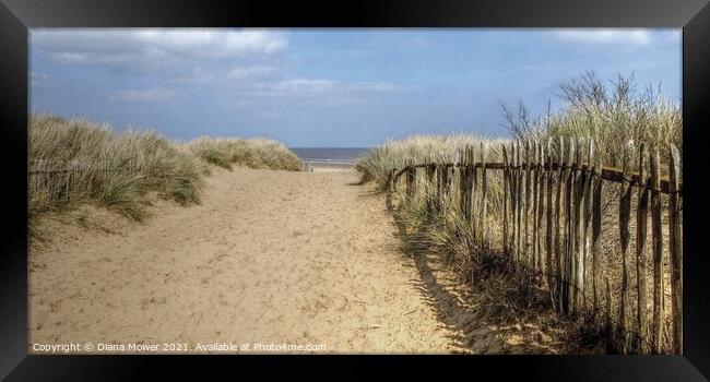 The path to the beach  at Mablethorpe Framed Print by Diana Mower
