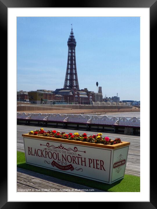Blackpool Tower Framed Mounted Print by Sue Walker