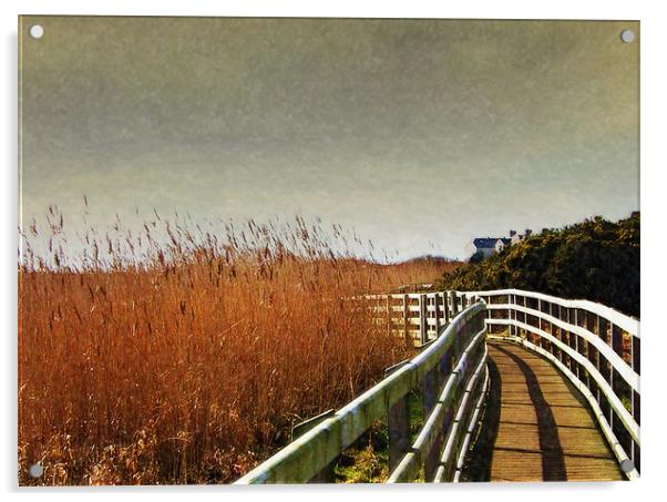 Rhosneigr Boardwalk Acrylic by Ian Tomkinson